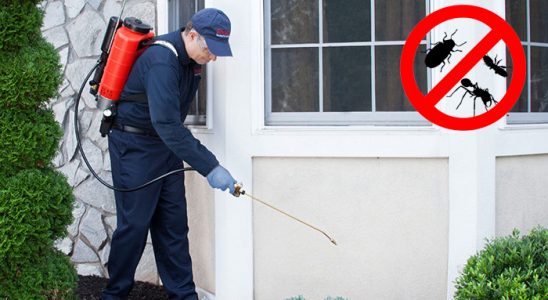 Arhavi Akrep İlaçlama böcek ilaçlama ve haşere kontrolü — ilaclama-tr.com